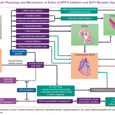 Incretin Physiology and Mechanisms of Action of DPP-4 Inhibitors and GLP-1 Receptor Agonists