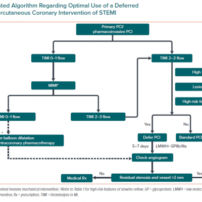 A Suggested Algorithm Regarding Optimal Use of a Deferred Strategy During Percutaneous Coronary Intervention of STEMI