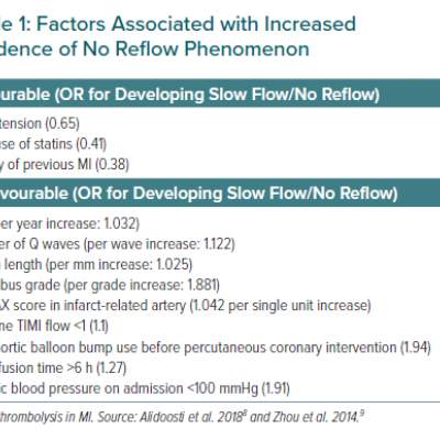 Factors Associated with Increased Incidence of No Reflow Phenomenon