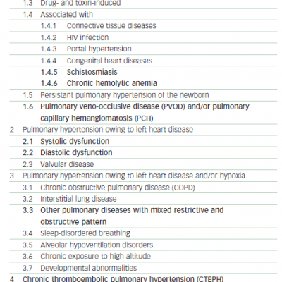 Updated Clinical Classification of Pulmonary Hypertension Dana Point 2008
