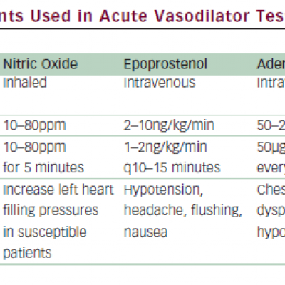 Agents Used in Acute Vasodilator Testing
