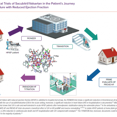 Clinical Trials of Sacubitril/Valsartan in the Patient’s Journey with Heart Failure with Reduced Ejection Fraction