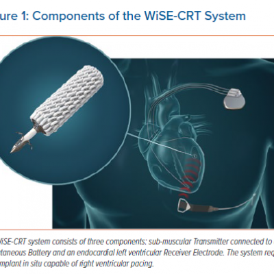 Components of the WiSE-CRT System