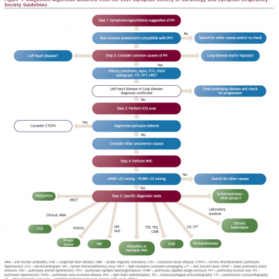Diagnostic Algorithm Modified from the 2009 European Society of Cardiology and European Respiratory Society Guidelines