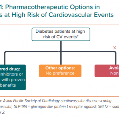 Pharmacotherapeutic Options in Patients at High Risk of Cardiovascular Events