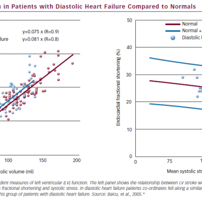 Systolic Function in Patients with Diastolic Heart Failure Compared to Normals