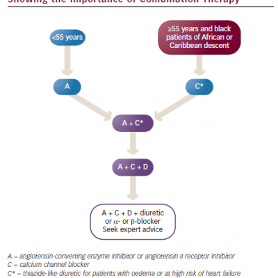 The 2011 NICE/BHS Treatment Algorithm Showing the Importance of Combination Therapy