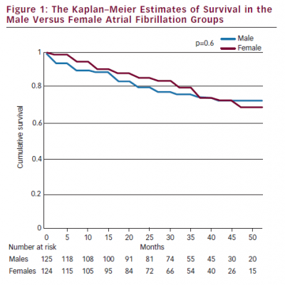 The Kaplan–Meier Estimates of Survival in the Male Versus Female Atrial Fibrillation Groups