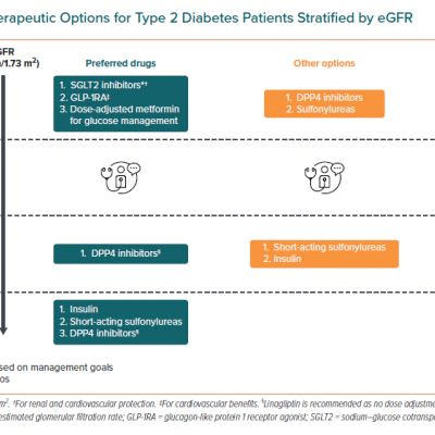 Pharmacotherapeutic Options for Type 2 Diabetes Patients Stratified by eGFR