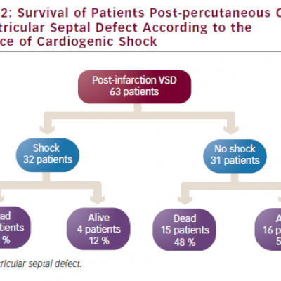 Survival of Patients Post-percutaneous Closure of Ventricular Septal Defect According to the Presence of Cardiogenic Shock