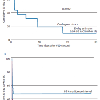 Kaplan–Meier Curves Showing Cumulative Survival at Short- and Long-term Follow-up 