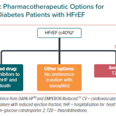 Pharmacotherapeutic Options for Type 2 Diabetes Patients with HFrEF