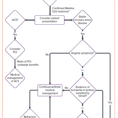 Proposed Treatment Algorithm for Medina 001 Lesions