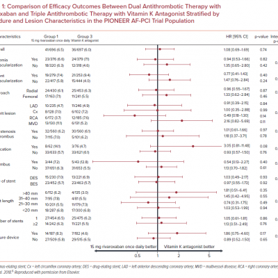 Comparison of Efficacy Outcomes Between Dual Antithrombotic Therapy with Rivaroxaban and Triple Antithrombotic Therapy with Vitamin K Antagonist Stratified by Procedure and Lesion Characteristics in the PIONEER AF-PCI Trial Population