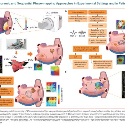 Panoramic and Sequential Phase-mapping Approaches in Experimental Settings and in Patients With AF