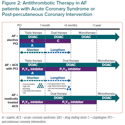 Antithrombotic Therapy in AF patients with Acute Coronary Syndrome or Post-percutaneous Coronary Intervention