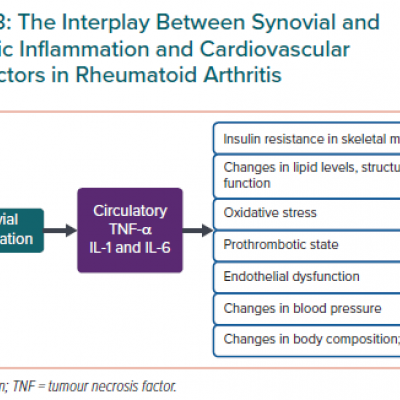 The Interplay Between Synovial and Systemic Inflammation and Cardiovascular Risk Factors in Rheumatoid Arthritis