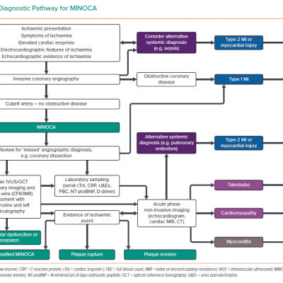 Diagnostic Pathway for MINOCA