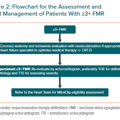 Flowchart for the Assessment and Initial Management of Patients With ≥3 FMR