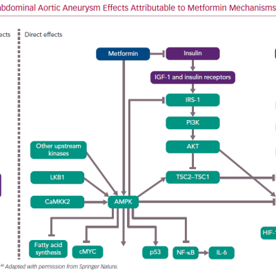 Potential Anti-abdominal Aortic Aneurysm