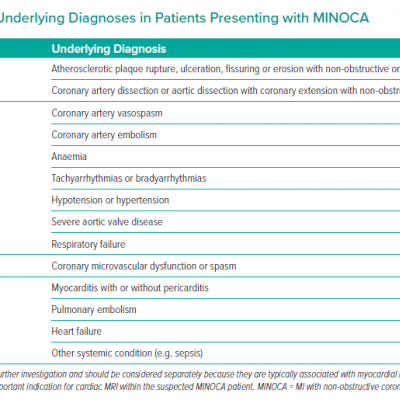 Classification of Underlying Diagnoses in Patients Presenting with MINOCA