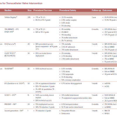 Summary of Devices for Transcatheter Valve Intervention