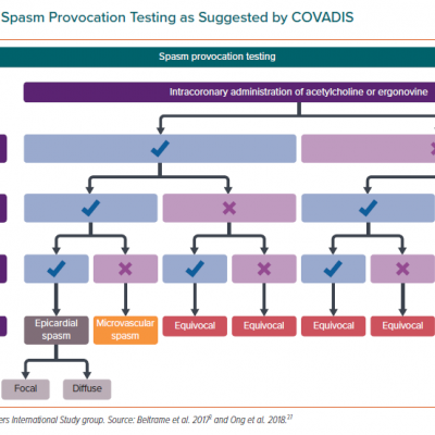 Flow Chart of Spasm Provocation Testing as Suggested by COVADIS