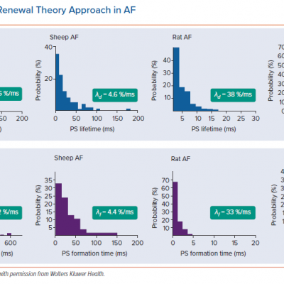 Evidence for Renewal Theory Approach in AF