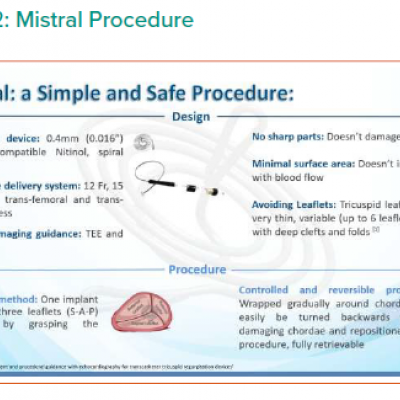 Mistral Procedure