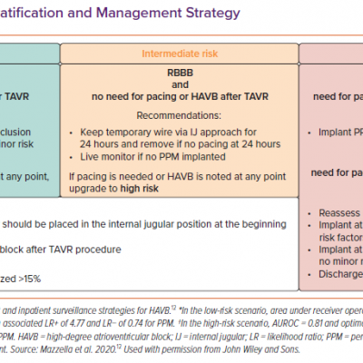 Pacemaker Risk Stratification and Management Strategy