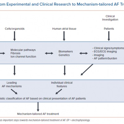 Translation from Experimental and Clinical Research to Mechanism-tailored AF Treatment