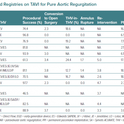 Larger Series and Registries on TAVI for Pure Aortic Regurgitation