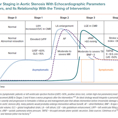 Extravalvular Staging in Aortic Stenosis With Echocardiographic Parameters and Other Risk Factors and Its Relationship With the Timing of Intervention