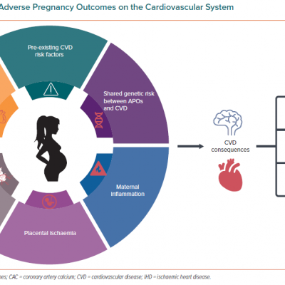Impact of Adverse Pregnancy Outcomes on the Cardiovascular System