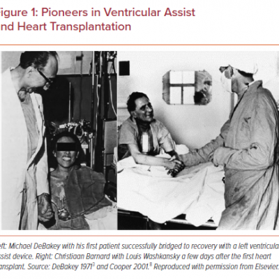Pioneers in Ventricular Assist and Heart Transplantation