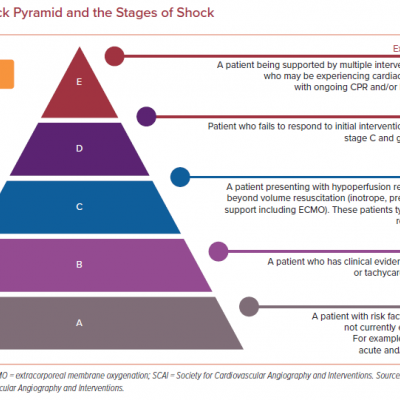 The SCAI Shock Pyramid and the Stages of Shock