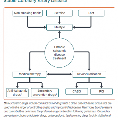 Treatment Components for Chronic Stable Coronary Artery Disease