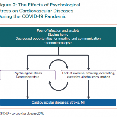 The Effects of Psychological Stress on Cardiovascular Diseases During the COVID-19 Pandemic