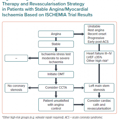 Algorithm for Optimal Medical Therapy and Revascularisation Strategy in Patients with Stable Angina/Myocardial Ischaemia Based on ISCHEMIA Trial Results