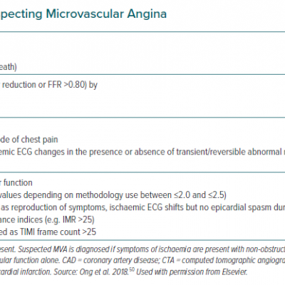 Clinical Criteria for Suspecting Microvascular Angina