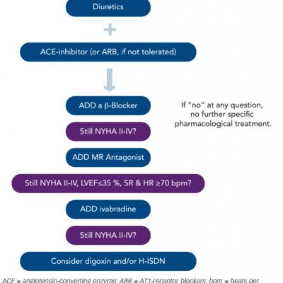Figure 2 Simplified Flowchart of the Pharmacological Treatment of Patients with Systolic Heart Failure