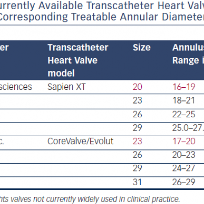 Table-3-Currently-available-transchatheter-heart-valve-sizes