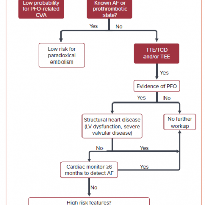 A Practical Approach to Patent Foramen Ovale and Cryptogenic Stroke in Patients &gt55 Years Old