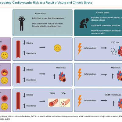 Associated Cardiovascular Risk as a Result of Acute and Chronic Stress