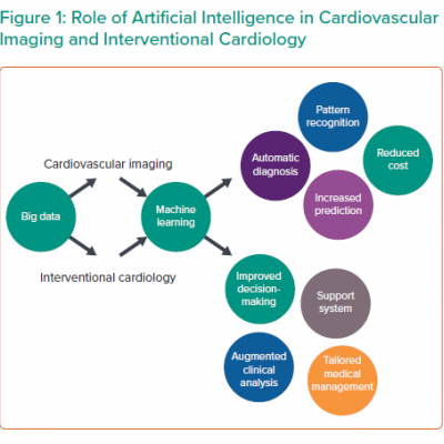 Role of Artificial Intelligence in Cardiovascular lmaging and Interventional Cardiology