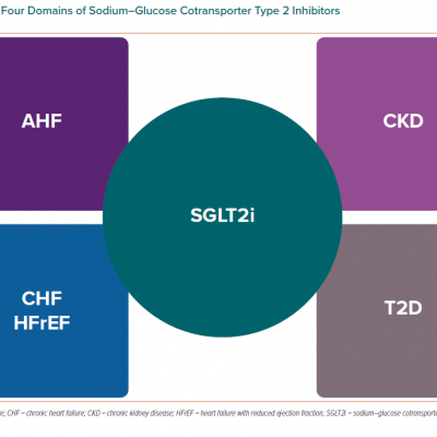 The Four Domains of Sodium–Glucose Cotransporter Type 2 Inhibitors