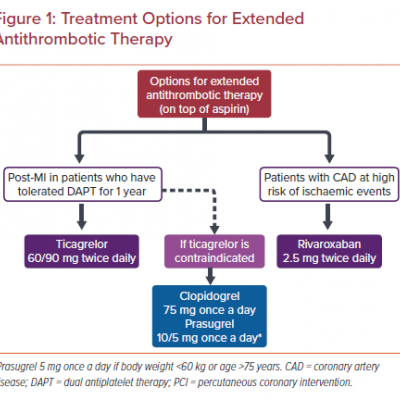 Treatment Options for Extended Antithrombotic Therapy