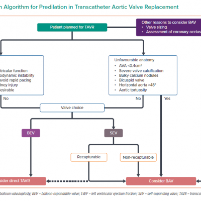 Decision Algorithm for Predilation in Transcatheter Aortic Valve Replacement