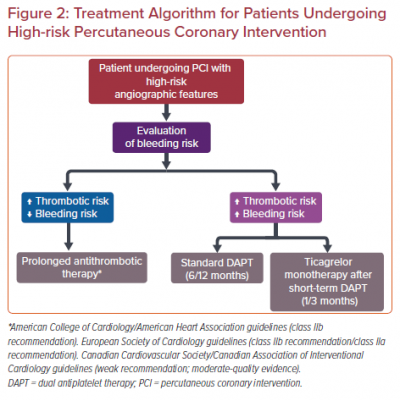 Treatment Algorithm for Patients Undergoing High-risk Percutaneous Coronary Intervention