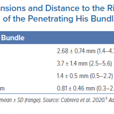 Dimensions and Distance to the Right Atrial Endocardium of the Penetrating His Bundle